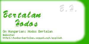 bertalan hodos business card